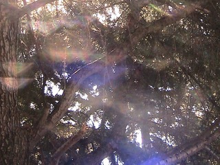 5BFA2ECE-873A-4BCE-8C01-61B604D354F7/L0/001