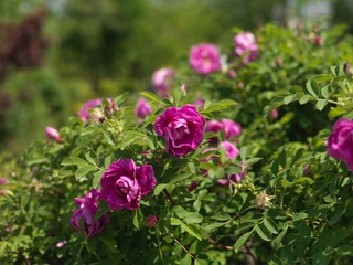 AB5A466E-2E16-4E76-9867-DDC183AE5738/L0/001