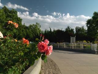F70A6C9B-C513-44FF-9D06-929742A14D4F/L0/001