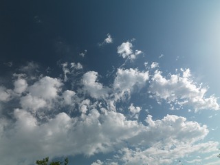 58CA0263-D956-4809-AF61-FD005EEE2CBC/L0/001