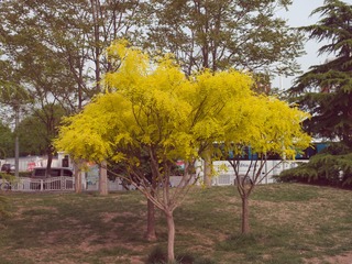 1C9084FA-03DA-4C78-AAA7-F0C780325CE2/L0/001