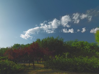 0D710579-24A8-4A60-A341-FE422660DD1F/L0/001