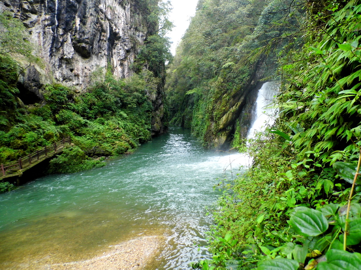 贵州福泉洒金谷