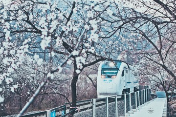 961244