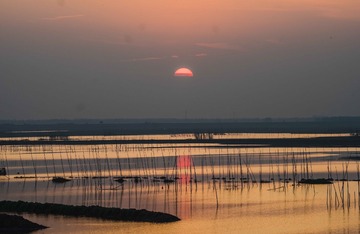 _DSC3942