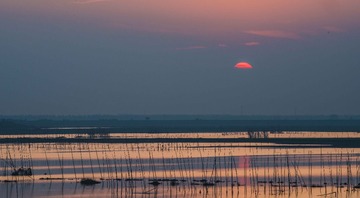 _DSC3947
