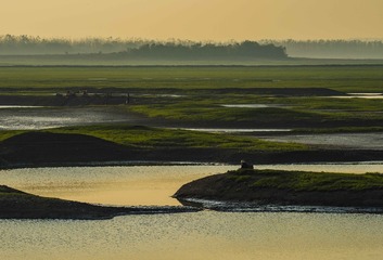 _DSC3895