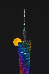 1111-1