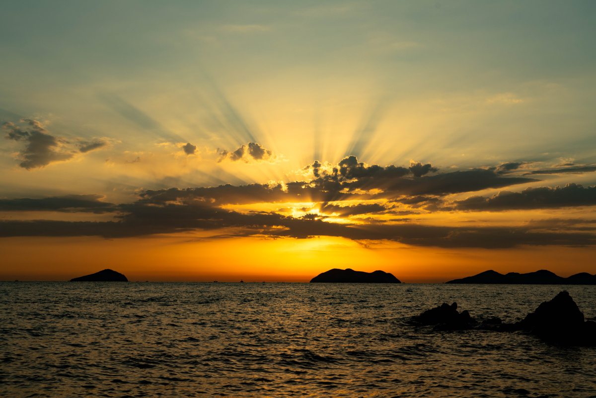 红日初升其道大光