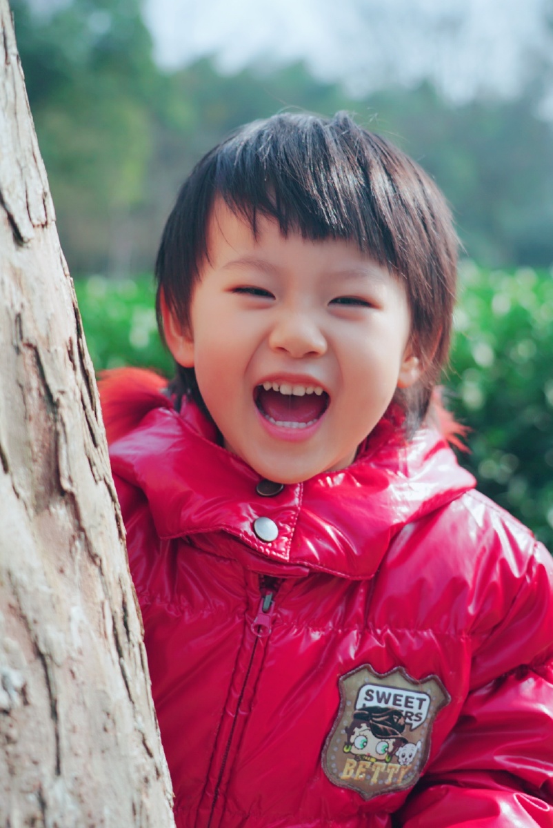 我有一个小毛驴儿