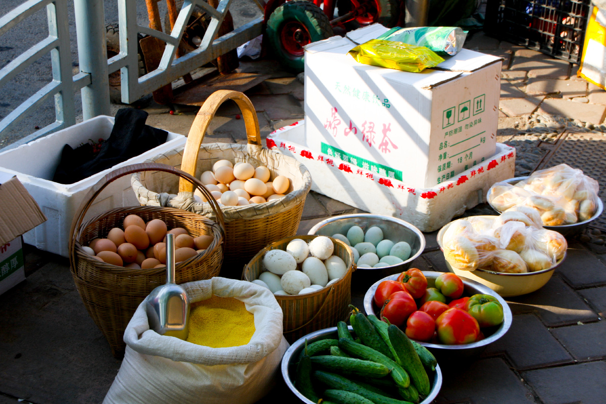 我有一个小毛驴儿