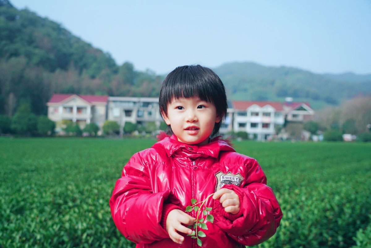 我有一个小毛驴儿