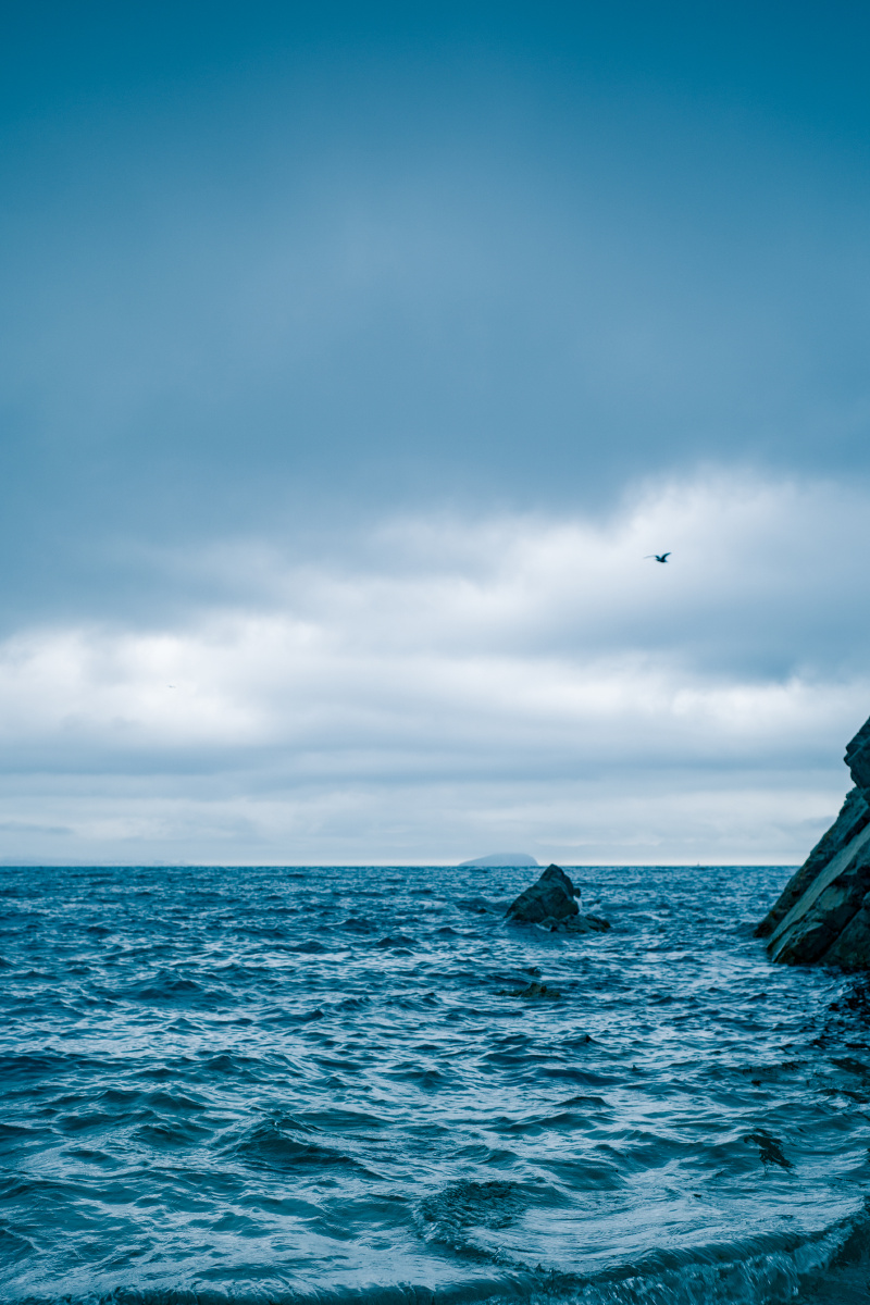 那年夏天宁静的海