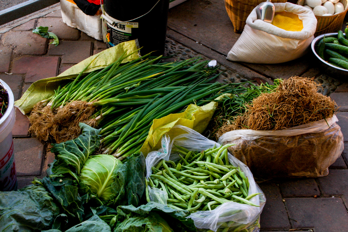 我有一个小毛驴儿