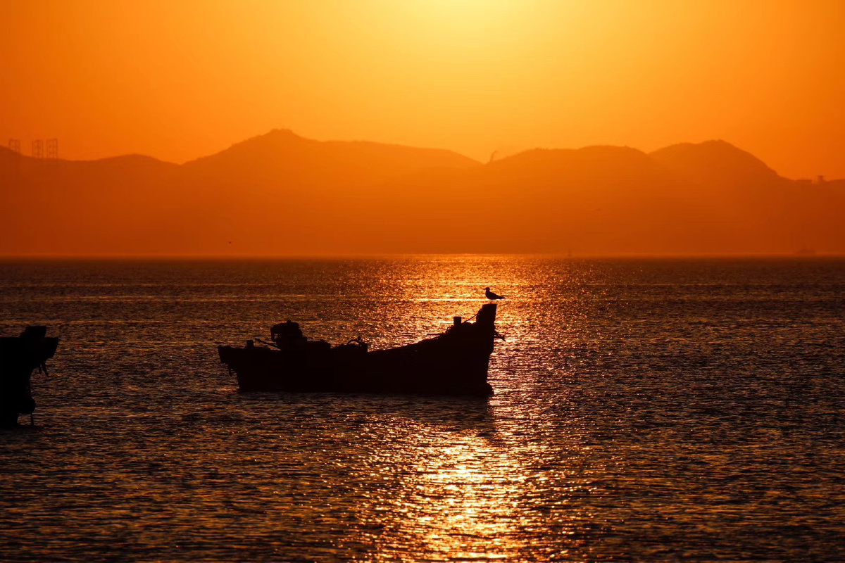 我有一个小毛驴儿