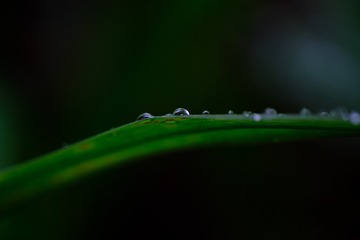 1000733070