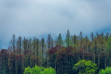 1000726029