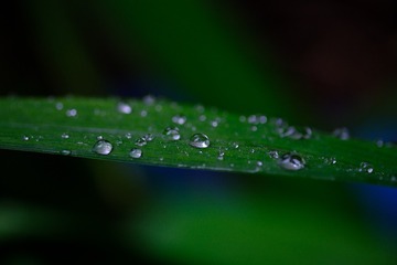 1000733066