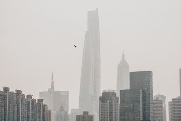 25316