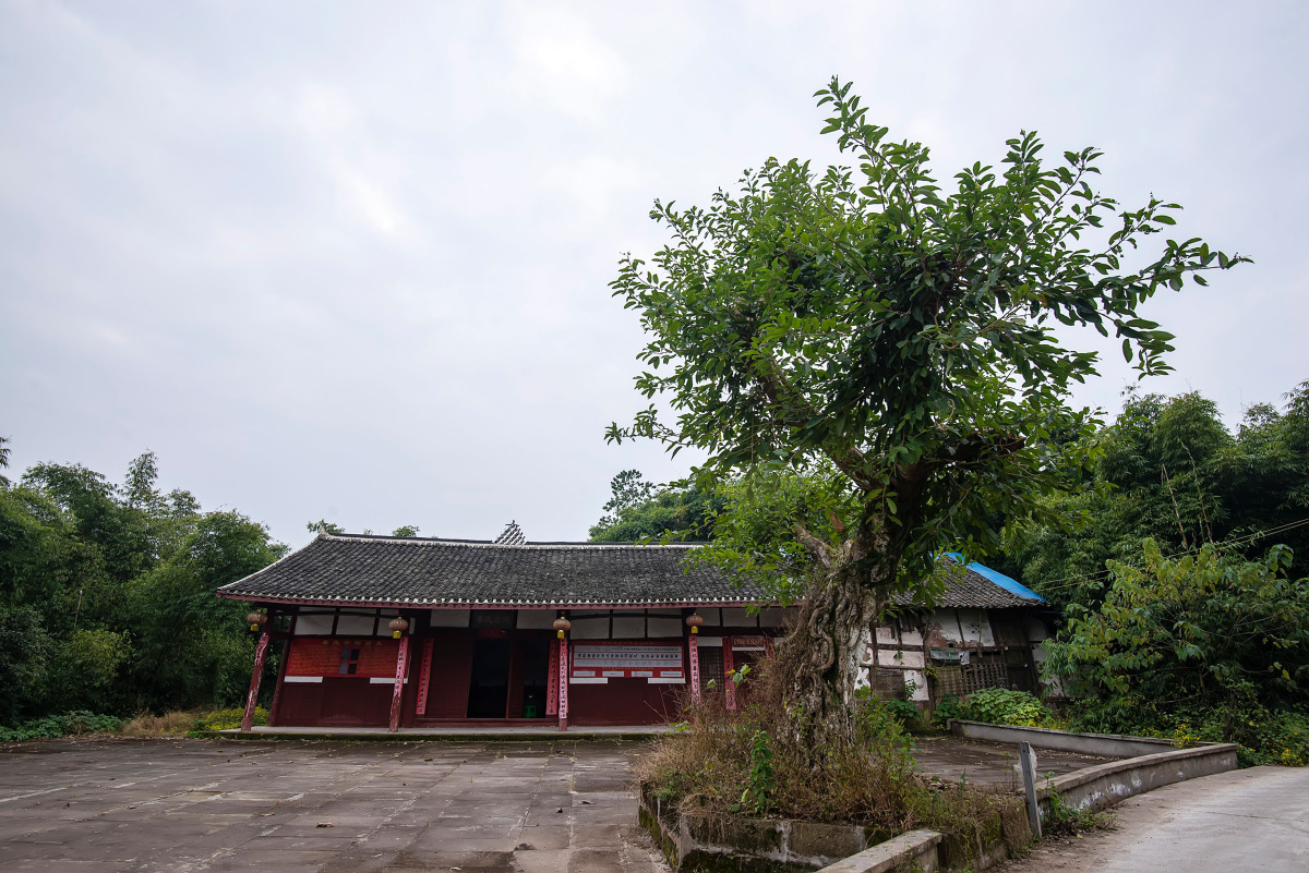 岳池县天平镇水口村