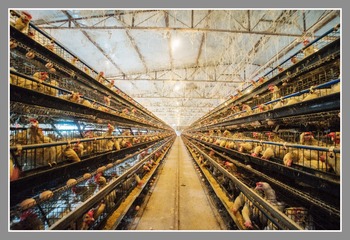 _DSC2832