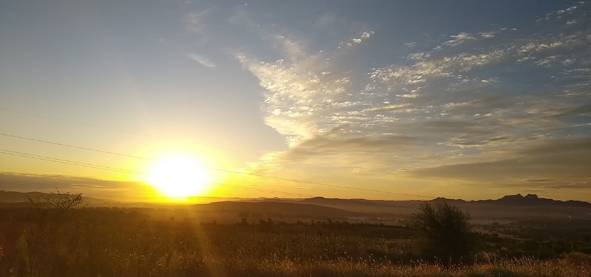 清晨,一缕阳光温暖着大地