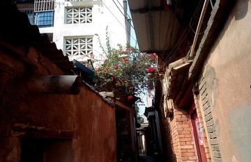 Scan-1610040-0002