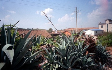 Scan-161013-0012