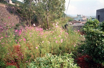 Scan-161013-0035