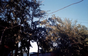Scan-161019-0040