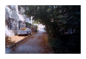 Scan-11-0003