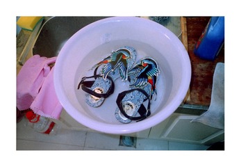 Scan-161025-0024