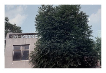 Scan-170704-0001
