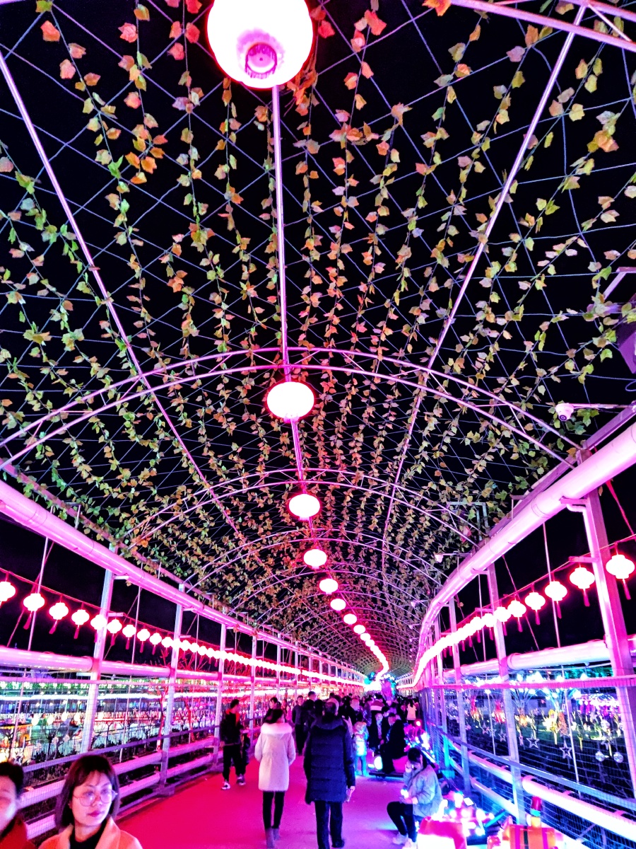 梦幻后山夜色阑珊