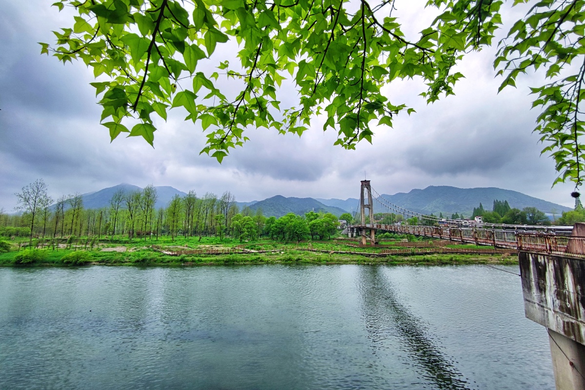 烟雨江滨双桥景