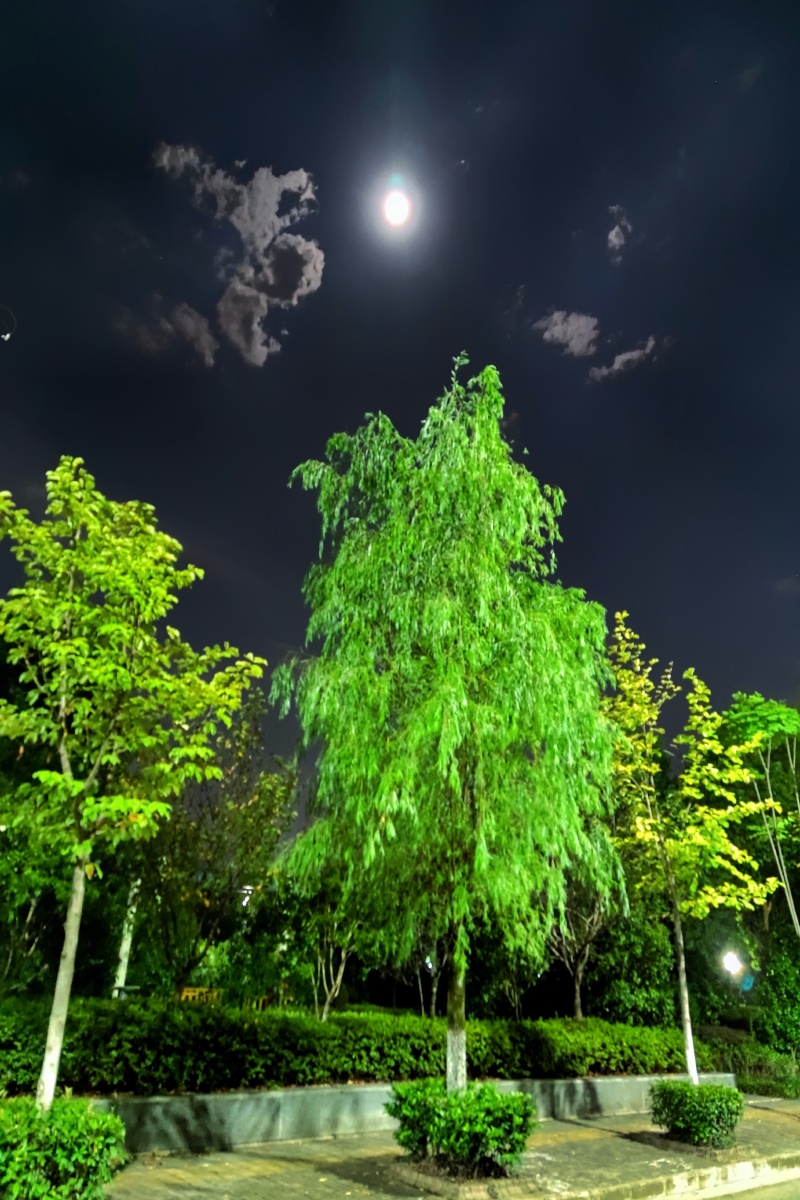 山城秋月夜景