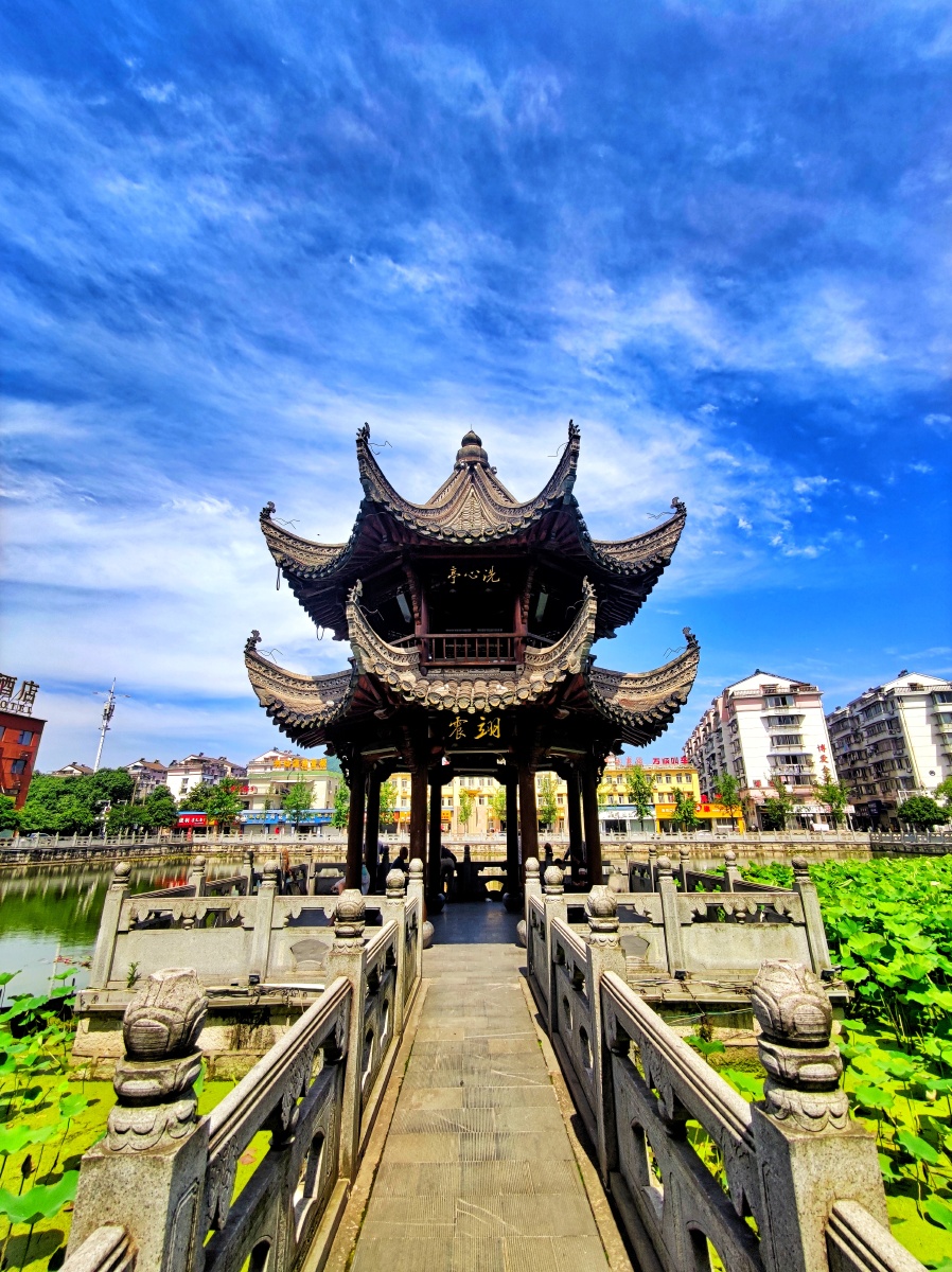 夏日荷塘洗心亭