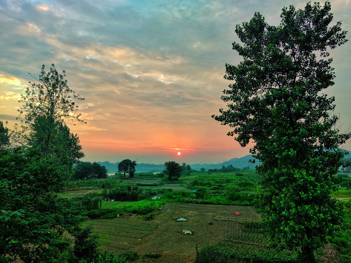 夏日晨景日出江滨红似火