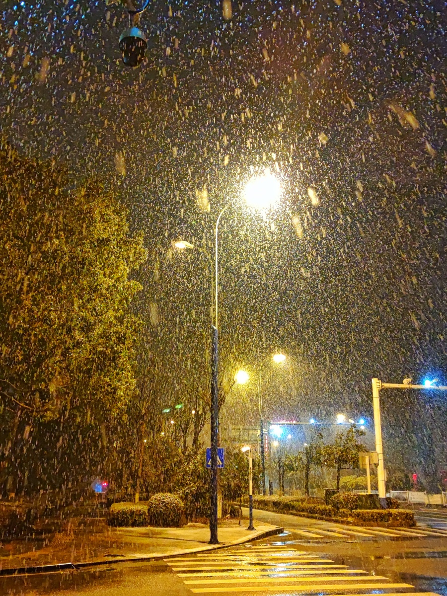 春寒料峭2022第二场雪大雪纷飞走晨景