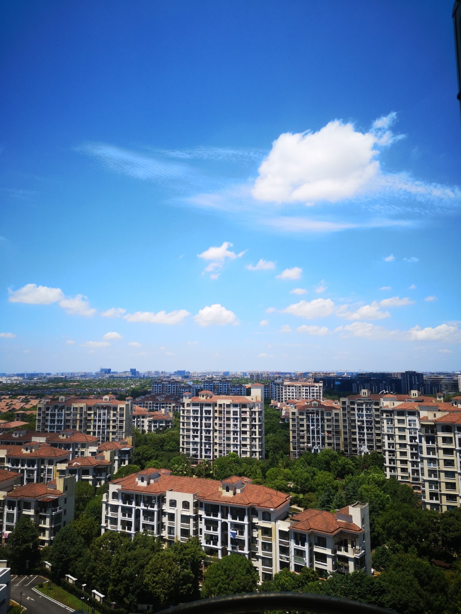 天空是蔚蓝色窗外有蜻蜓呢拍下了这颜色是送给你们的