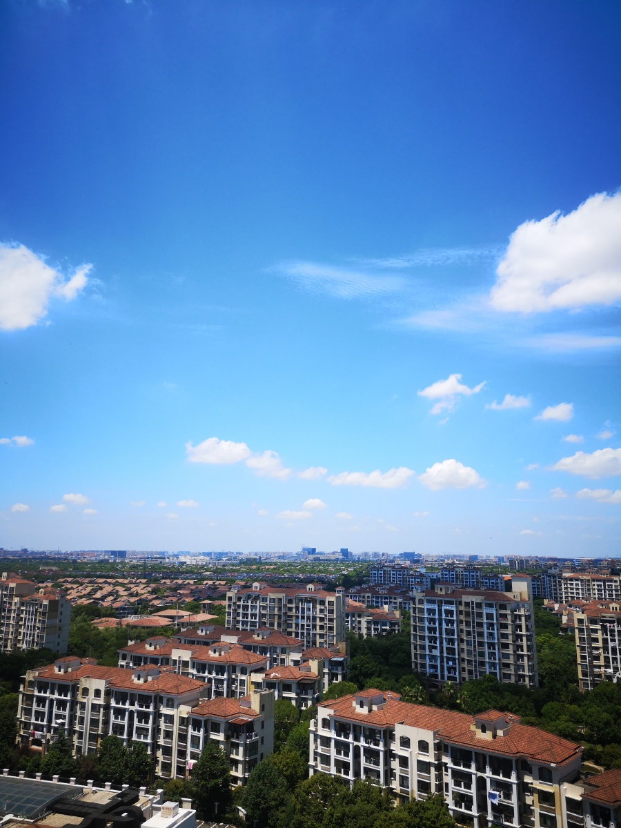 天空是蔚蓝色窗外有蜻蜓呢拍下了这颜色是送给你们的