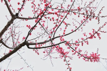 E3F1C198-E553-4EC6-8251-B2D5E7B6270E/L0/001