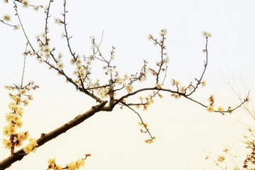 A2997383-61A5-482B-B878-D580C1905040/L0/001