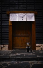 890366D2-BDFE-4A96-A945-04712F6805A7/L0/001