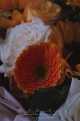 D99EBE90-50F3-4CFB-AD08-64946224A439/L0/001