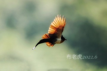 A4096D88-5083-4B6D-B559-3EBDCEB1B919/L0/001