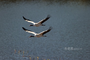 714600F1-504A-4AAE-8C98-02A8B0206AA9/L0/001