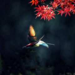 F16A54AE-8B5D-4F44-A23E-F9D474C604C6/L0/001