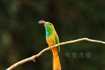 A7986AF3-750F-43AB-8473-269C2403277A/L0/001