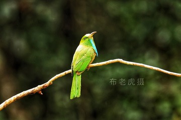 ADF202D7-3337-4F51-B5E7-7D45E1609F45/L0/001